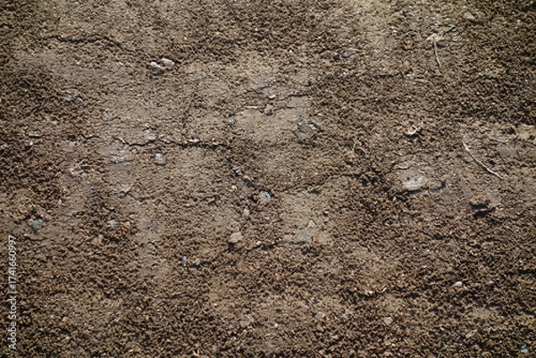 Fototapeta 春の地面のテクスチャ