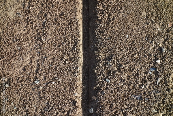 Fototapeta 春の地面のテクスチャ