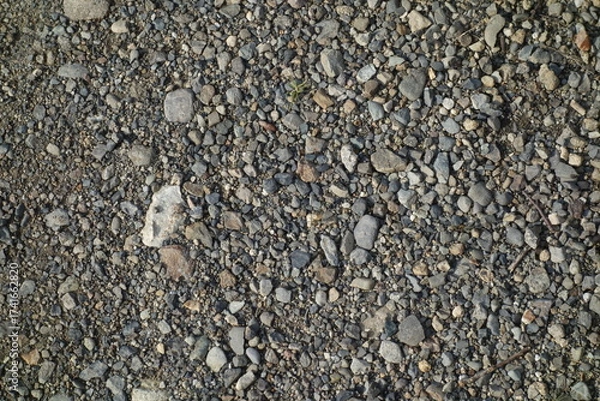 Fototapeta 春の地面のテクスチャ