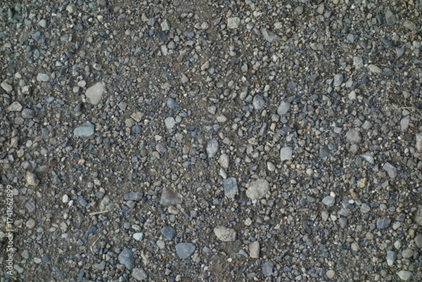 Fototapeta 春の地面のテクスチャ