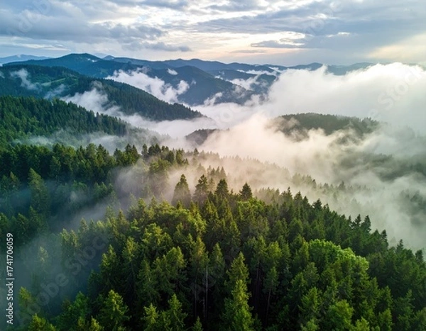 Fototapeta Misty forest landscape, hills disappearing into clouds