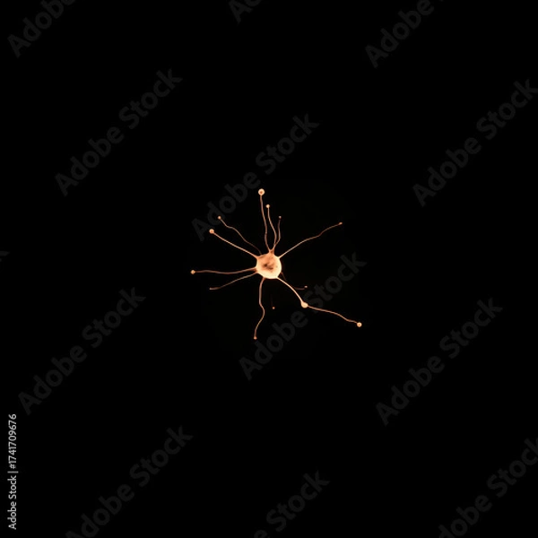 Fototapeta A microscopic view of a neuron cell with branching dendrites against a black background.