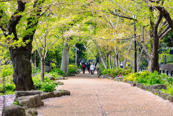 Obraz 東京　皇居周辺