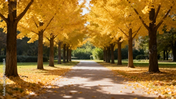 Fototapeta Autumn Path with Golden Trees