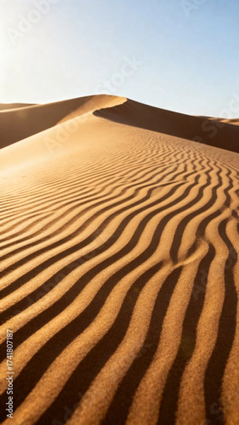 Fototapeta Desert sand dunes with wave patterns