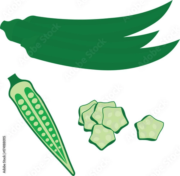 Fototapeta Best vector illustration of fresh green ladyfinger (okra/bhindi) in cartoon and hand-drawn styles. Perfect EPS set for healthy food, vegetarian, or culinary design projects.