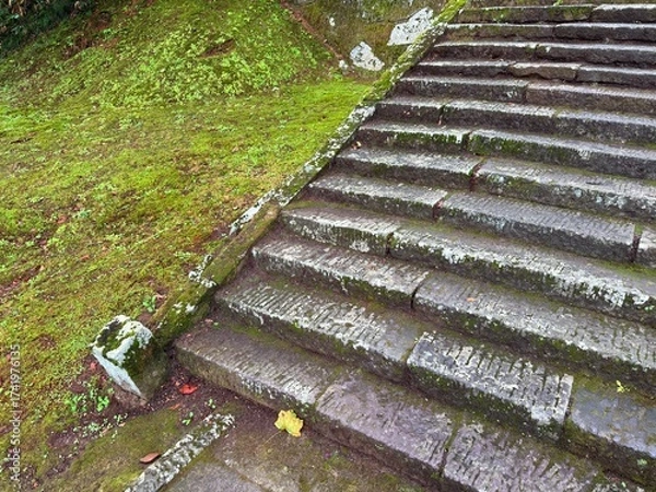 Fototapeta Moss-covered stone steps leading to a shrine surrounded by cedar trees on Mt Haguro, Yamagata, Japan
