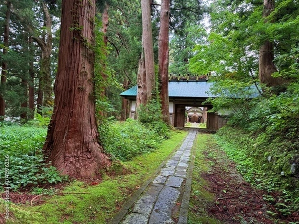 Fototapeta Moss-covered stone steps leading to a shrine surrounded by cedar trees on Mt Haguro, Yamagata, Japan