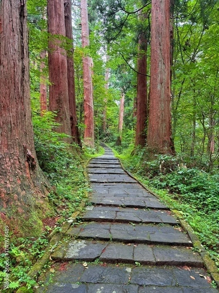 Fototapeta Moss-covered stone steps leading to a shrine surrounded by cedar trees on Mt Haguro, Yamagata, Japan
