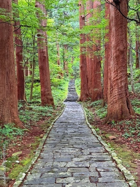 Fototapeta Moss-covered stone steps leading to a shrine surrounded by cedar trees on Mt Haguro, Yamagata, Japan