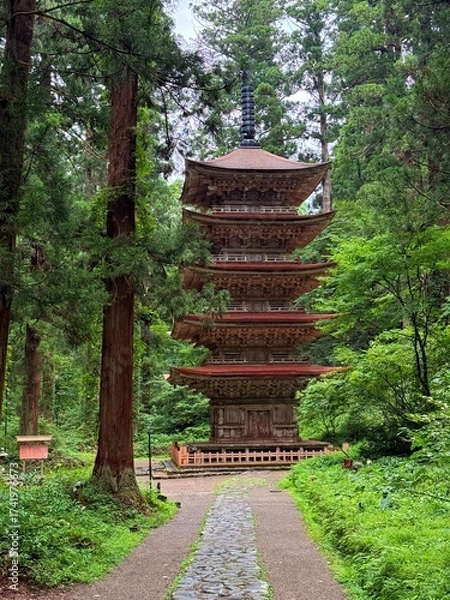 Fototapeta Moss-covered stone steps leading to a shrine surrounded by cedar trees on Mt Haguro, Yamagata, Japan