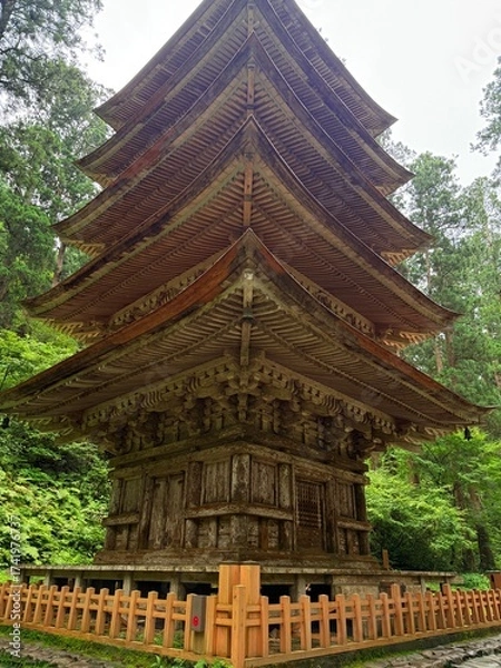 Fototapeta Moss-covered stone steps leading to a shrine surrounded by cedar trees on Mt Haguro, Yamagata, Japan