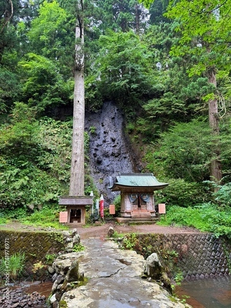 Fototapeta Moss-covered stone steps leading to a shrine surrounded by cedar trees on Mt Haguro, Yamagata, Japan