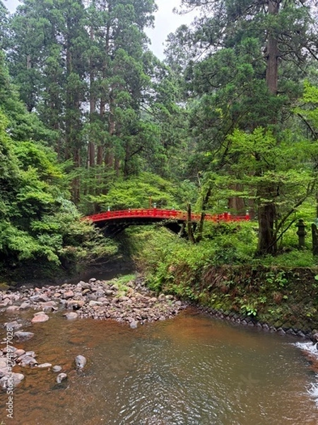 Fototapeta Moss-covered stone steps leading to a shrine surrounded by cedar trees on Mt Haguro, Yamagata, Japan