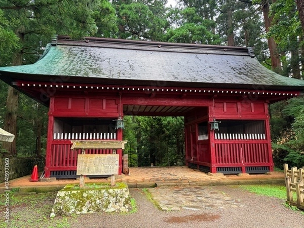 Fototapeta Moss-covered stone steps leading to a shrine surrounded by cedar trees on Mt Haguro, Yamagata, Japan