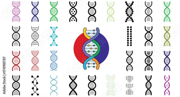 Fototapeta A diverse collection of DNA helix icons and genetic symbols, ideal for representing biology, science, medical research, and biotechnology concepts in various design projects