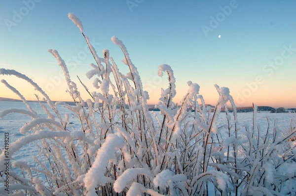 Obraz Farben am Winterhimmel