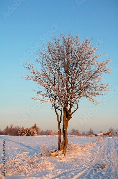 Obraz Eislandschaft im Erzgebirge