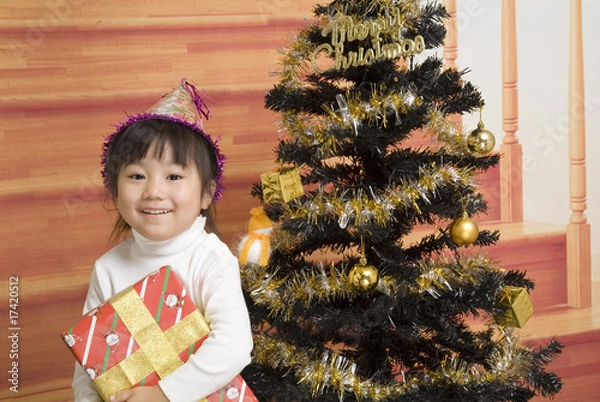 Obraz クリスマスプレゼント