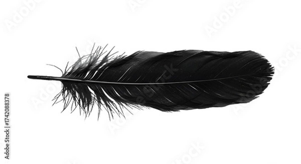 Fototapeta Elegant Single Black Feather with Soft Texture on Dark Background