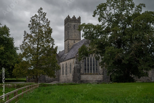 Obraz The Adare Friary, Ireland, a historical stone building with a prominent tower and large pointed-arch windows, surrounded by lush green grass and trees under an overcast sky