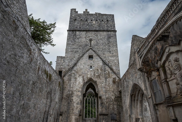 Obraz The stone Muckross Abbey in Ireland with a prominent tower and arched entrance under an overcast sky
