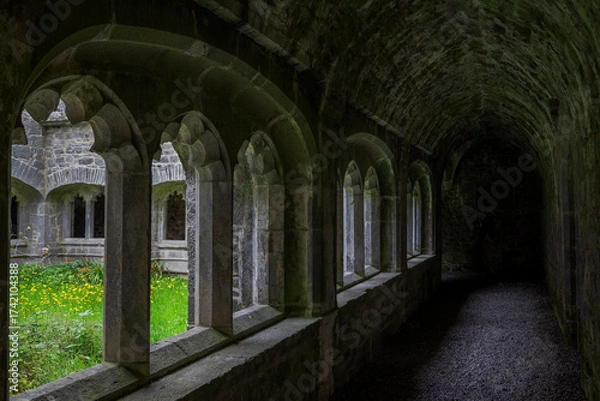 Fototapeta An arched stone cloister with columns creating a covered walkway around a courtyard with greenery, part of the historical Adare Friary, Ireland.