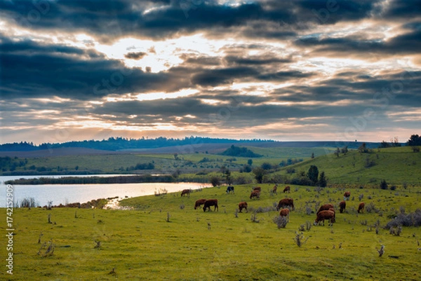Obraz Jesienne Pastwisko 