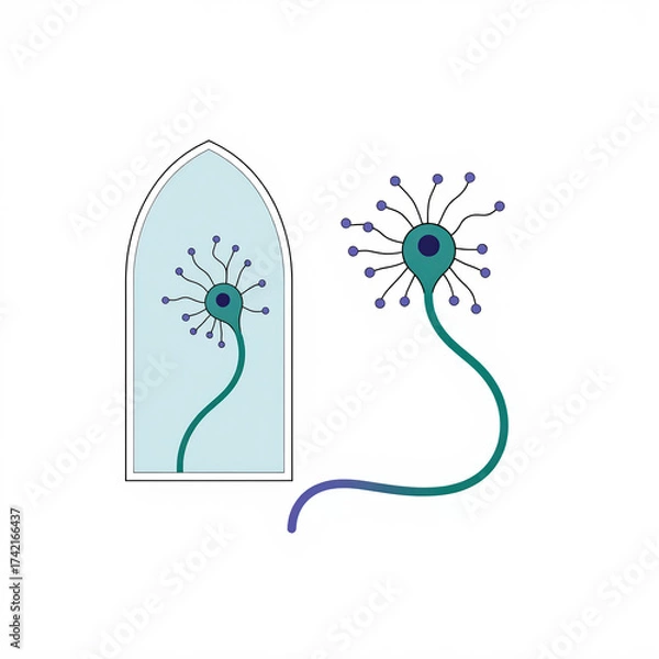 Fototapeta a neuron facing its reflection, symbolizing the neuroscience concept of mirror neurons and empathy in the brain.
