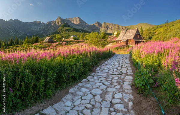 Fototapeta Mountain landscape, Tatra mountains summer landscape in Poland, colorful sunrise on Hala Gasienicowa (Gasienicowa Glade) with blooming fireweed