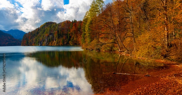 Fototapeta Panoramic view  scene with the Alpsee lake in Autumn trees season and Bavaria Alps in background
