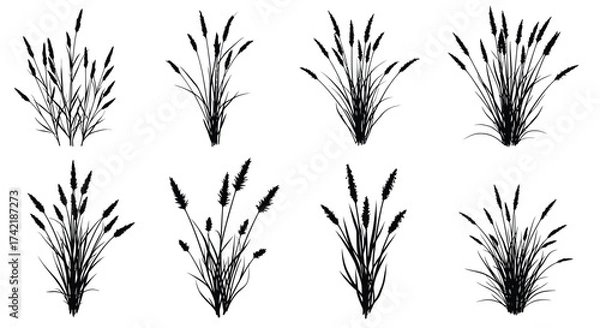 Fototapeta A collection of black and white illustrations depicting various grass tufts