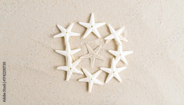 Fototapeta Nine white starfish form a perfect ring around one beige center on soft sand.