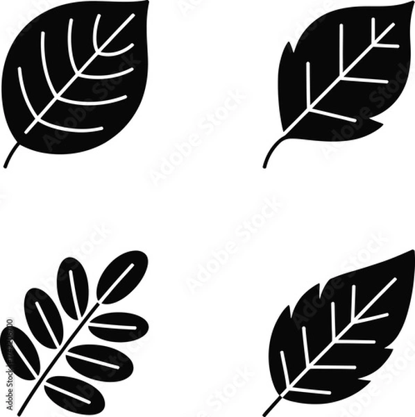 Fototapeta Collection of four distinct leaf silhouettes in black and white for design elements silhouette
