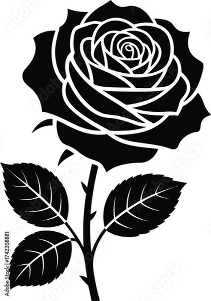 Fototapeta Elegant black rose silhouette with stem and leaves on white background silhouette
