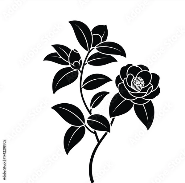 Fototapeta Elegant black silhouette of a blooming camellia flower branch with leaves and buds