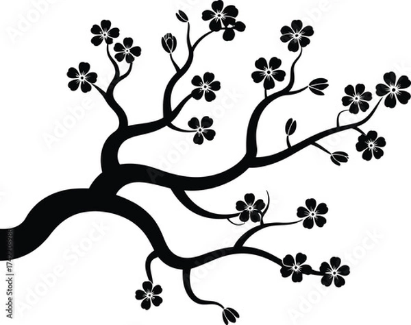 Fototapeta Elegant black silhouette of a blooming cherry blossom branch with delicate flowers on white background