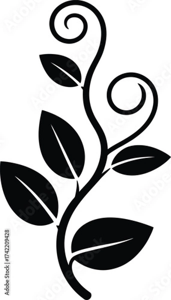Fototapeta Elegant black silhouette of a delicate vine with swirling tendrils and leaves silhouette