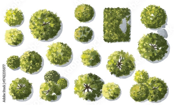 Fototapeta Vector set of Top view green tree for outdoor plan or map and architecture drawing, elements for environment and garden ,botanical elements ,Blooming flowers in spring,tropical plants element
