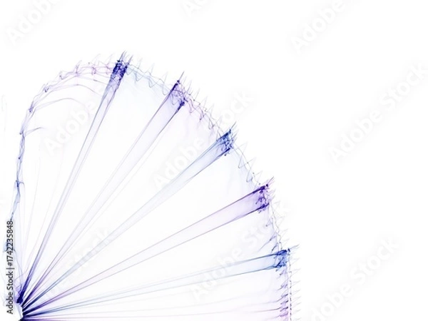 Obraz a fan of a fan isolated on white