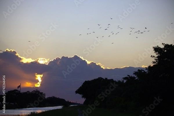 Obraz sunset in the city