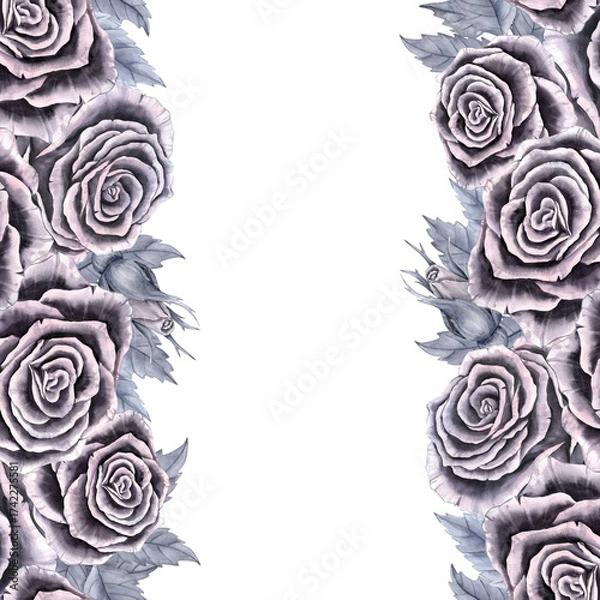 Fototapeta A frame with roses in gray tones. Vertically arranged flowers and leaves painted in watercolor.