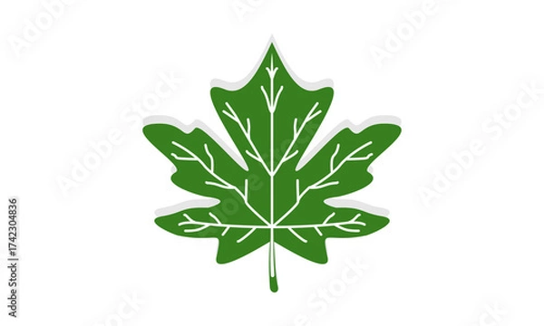 Obraz Oak leaf with shadow vector