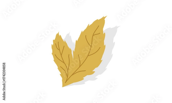 Obraz Dry leaf with shadow vector