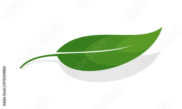 Obraz Elegant leaf with shadow illustration vector