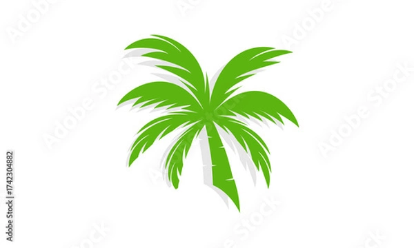 Obraz Coconut leaves with shadow vector