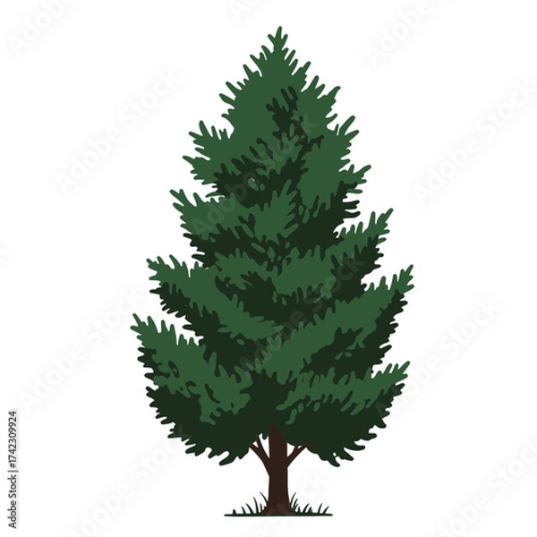 Fototapeta Tall green pine tree with dense foliage and brown trunk