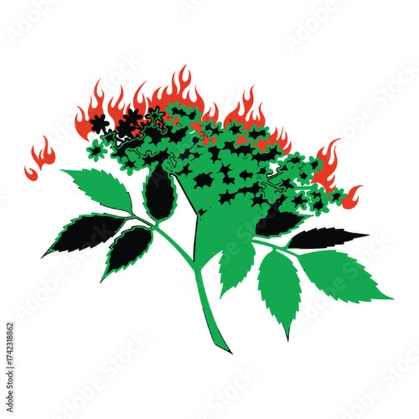 Obraz Stylized floral branch design with flames in red green and black