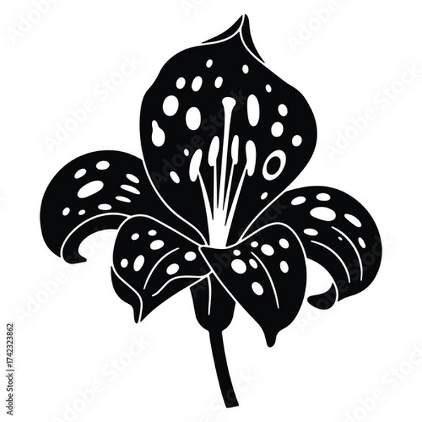 Obraz Elegant black and white flower design with unique petal patterns vector