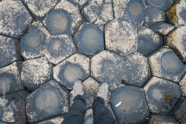 Fototapeta Blick auf die Steine von Giant`s Causeway in Nordirland